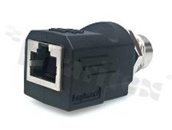 Amphenol Adapter RJ/M12; Cat 5E; straight; RJ: shielded; 8pins; IP65; M12: 4pins; D code; male; IP68
