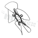 Motor impeller; fan class: 300; impeller: 298; blade gauge: 1.0 +/- 0.03.