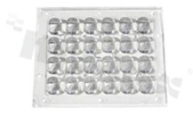Soczewka do diod LED high power; kąt rozsyłu: owalny 75 x 135 stopni FWHM; ilość diod: 24; rozmiar: 117x97mm; wysokość: 10.2mm; rodzaj materiału: PMMA; PC; sposób mocowania: klej