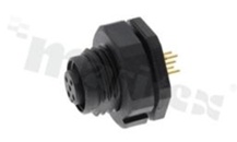 Socket M12 MSAP-05PFFP-SF8002