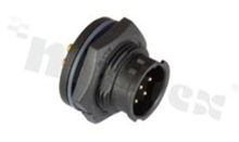 Gniazdo seria BD; 8-stykowe; męskie; proste; 5A; z nakrętką z przodu; kabel: 4.5-6.5mm2; z połączeniem zatrzaskowym; IP67