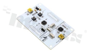 Zestaw Startowy GD32F303VCT6; ARM Cortex-M4; USB mini; RESET KEY; USER KEY; LED; GD-Link