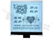 Display LGM; LCD graphic; 160x160; FSTN positive; white LED backlight; view 06:00; 3.3 V; 6800/8080 mode 8-bit parallel interface