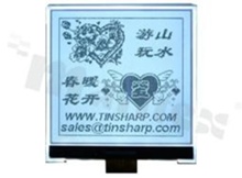 Display LGM; LCD graphic; 160x160; FSTN positive; white LED backlight; view 06:00; 3.3 V; 6800/8080 mode 8-bit parallel interface