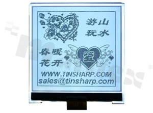 Display LGM; LCD graphic; 160x160; FSTN positive; white LED backlight; view 06:00; 3.3 V; 6800/8080 mode 8-bit parallel interface