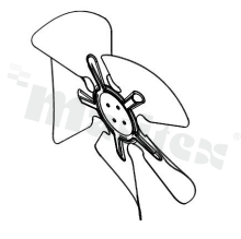 Motor impeller; fan class: 170; impeller: 170; blade gauge: 0.8 +/- 0.03; 34 degrees.