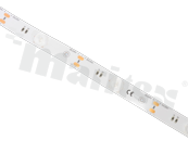 Taśma LED; typ Lens 1-LEDowy mono white; vertical bending; biała zimna 6500K; CRI min. 90; 24V; szerokość: 15 mm; wysokość: 5.1 mm; 10 W/m; 12 LED/m; IP20; cięcie co 83.3 mm; przewód czerwono czarny  /rolka 5 metrów
